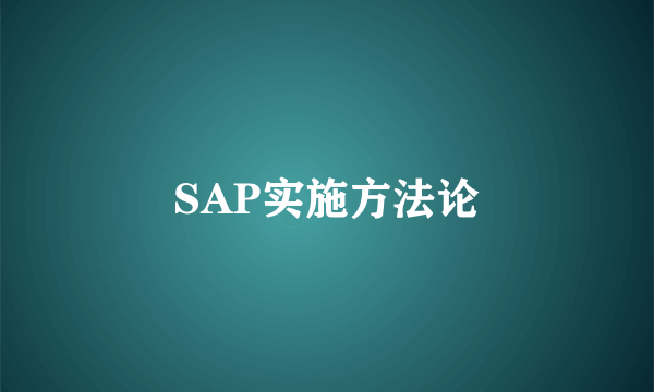 SAP实施方法论