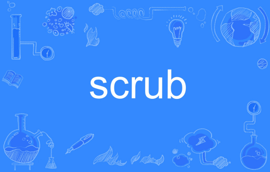 什么是scrub