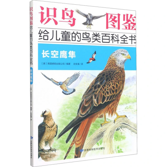 长空鹰隼（2021年甘肃科学技术出版社出版的图书）